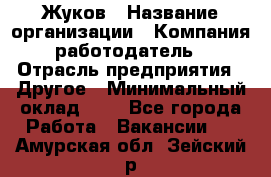 Жуков › Название организации ­ Компания-работодатель › Отрасль предприятия ­ Другое › Минимальный оклад ­ 1 - Все города Работа » Вакансии   . Амурская обл.,Зейский р-н